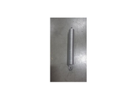 8" Silver Springs (Each)