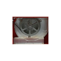 Red & Blue Chalk Eaters