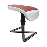 AAI EVO-ELITE POWER VAULT TABLE WITH CLUB PADS - TAC/10